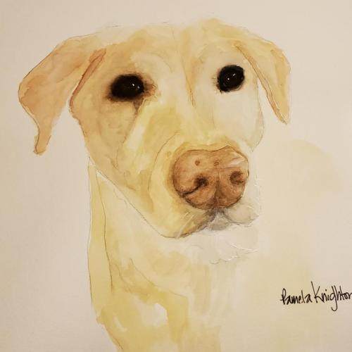 20:18:31 GMT-0700 (MST)