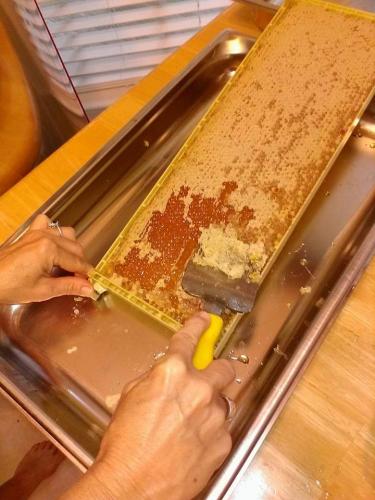 FB_IMG_1605313474133