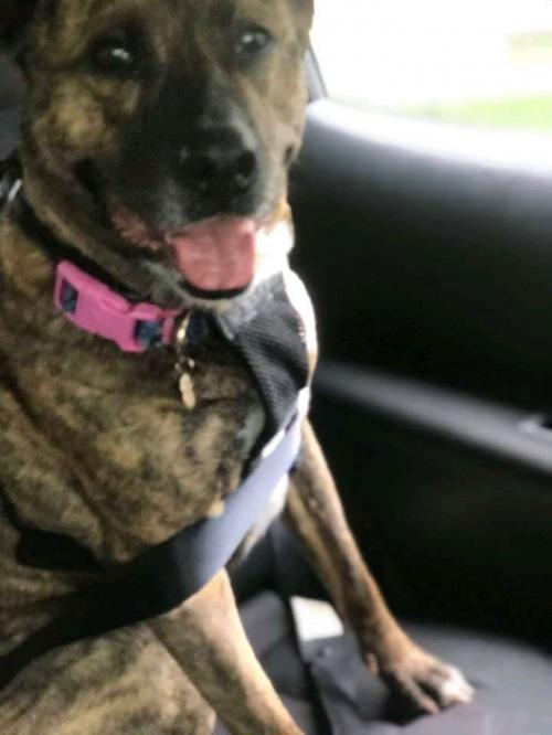 02:32:12 GMT+0100 (WAT)