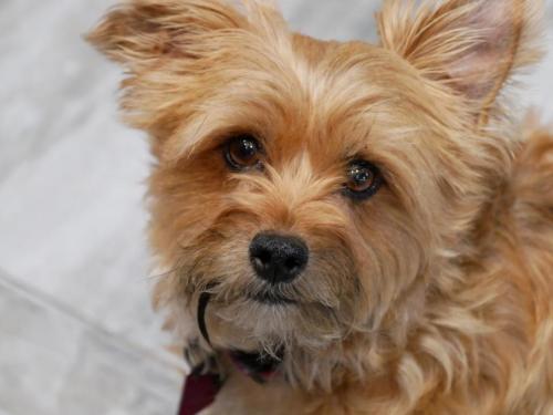 16:40:42 GMT-0800 (PST)