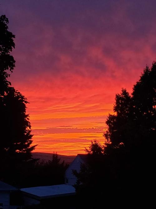 FB_IMG_1597781383726