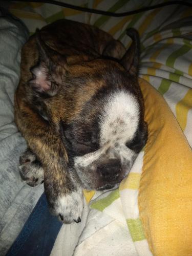 06:53:46 GMT-0600 (CST)