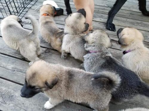 15:29:58 GMT-0600 (CST)