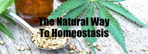 The-Natural-Way-To-Homeostasis