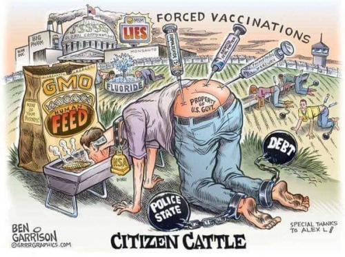 Forced Vaccination for US Slaves - cartoon