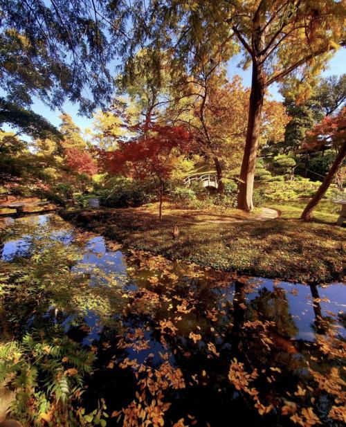 23:37:05 GMT-0600 (CST).image