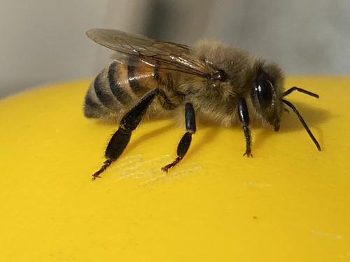 20:17:00 GMT-0800 (PST).image