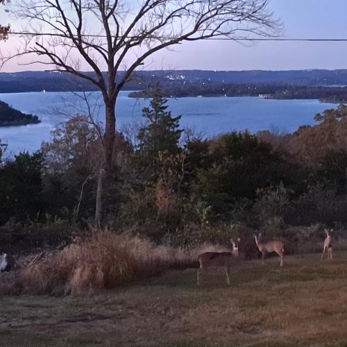 09:53:31 GMT-0600 (CST)