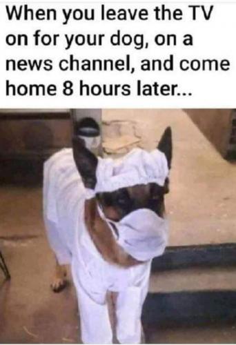 23:31:13 GMT-0800 (PST).image