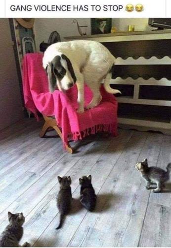 22:00:49 GMT-0500 (EST)