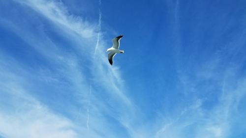 09:38:29 GMT-0800 (PST)