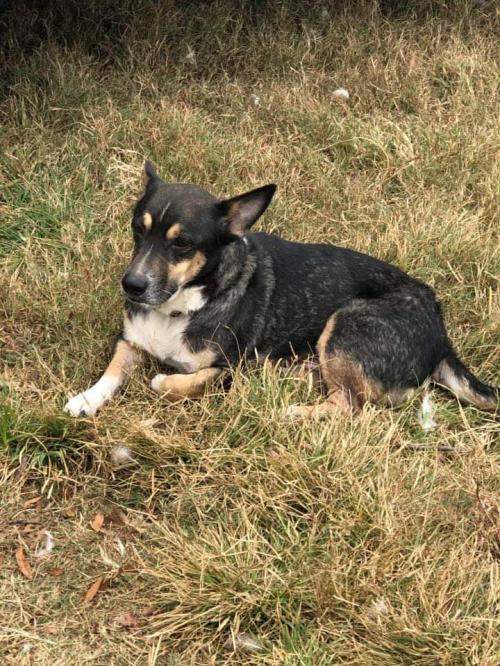 20:47:45 GMT-0600 (CST)