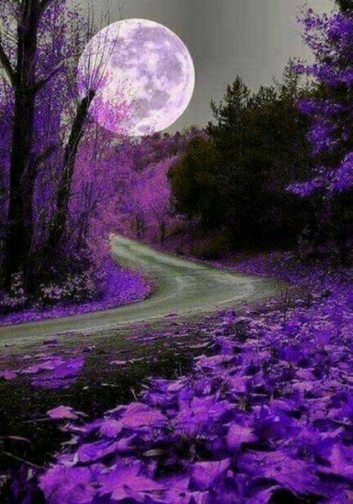 purple moon