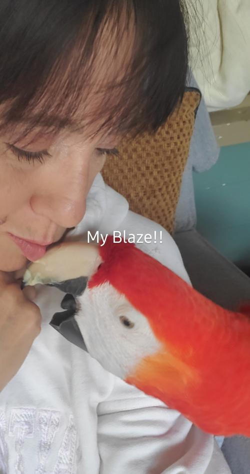 09:15:56 GMT-0600 (CST)