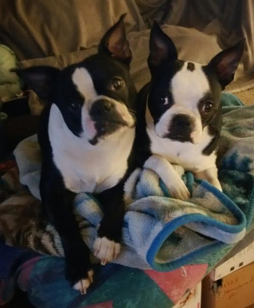 19:55:52 GMT-0800 (PST)