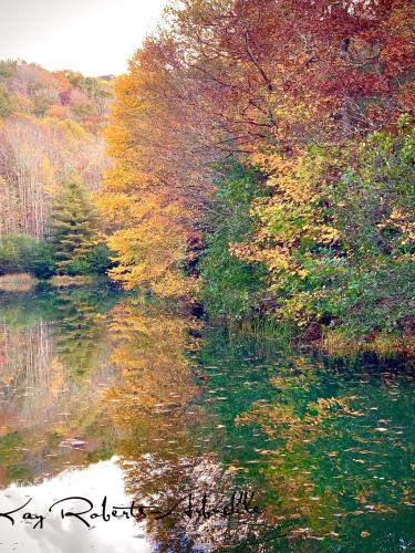 05:59:58 GMT-0500 (EST).image