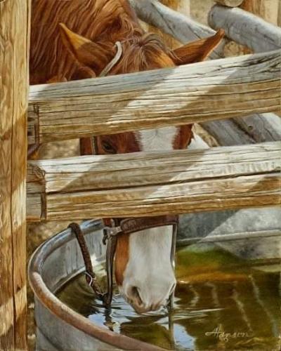 127151788_1319670375049744_836929048590206412_n