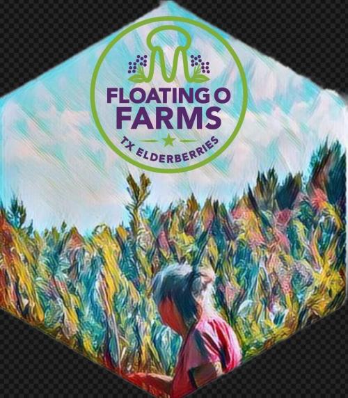 FB_IMG_1594649409003