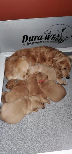 09:20:03 GMT-0500 (EST)