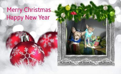 09:59:38 GMT-0800 (PST)