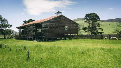 FB_IMG_1606503933743