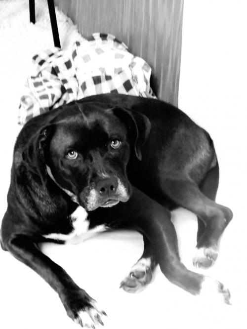 22:56:54 GMT-0500 (EST).image