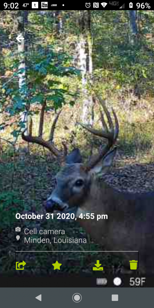 12:21:41 GMT-0600 (CST).png