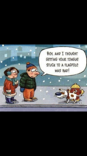 08:36:50 GMT-0600 (CST).image