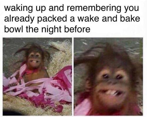 06:31:26 GMT-0500 (EST).image