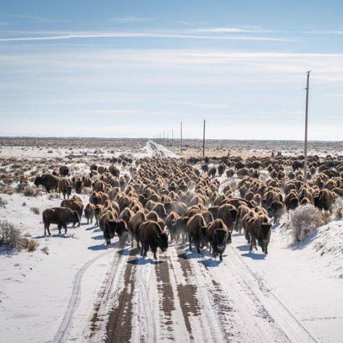 130745272_3870087183026095_925855747370840209_n