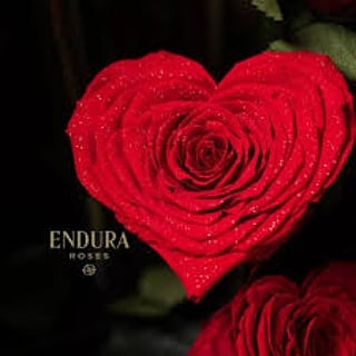 12:25:35 GMT+0100 (WAT)