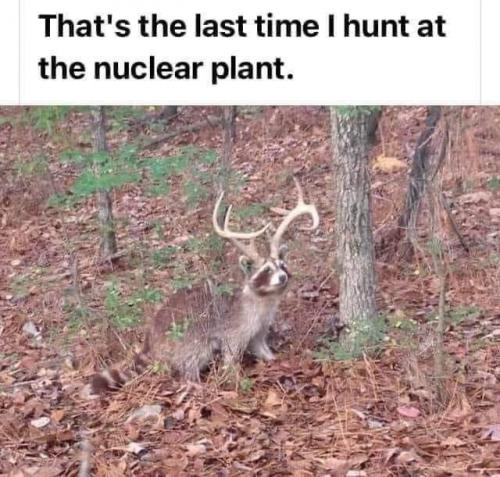 huntplant