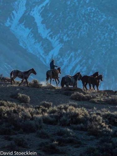 132036725_1236709370048028_1586958968431127326_n