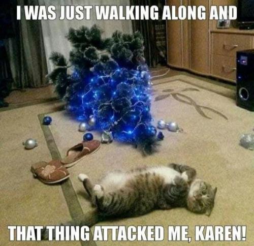 19:43:55 GMT-0800 (PST).image