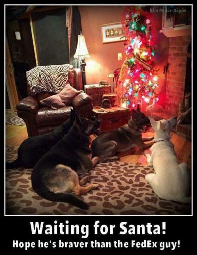 15:33:04 GMT-0700 (MST)