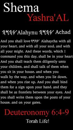 c8724a30491a4f2d9e560fe65597a02d