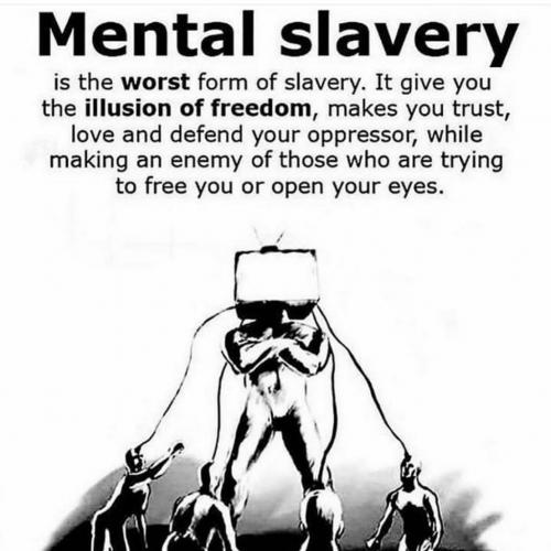 133015039_2884405521781070_4618740951164828082_o