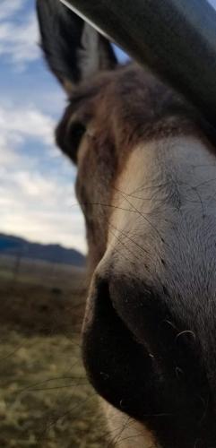 20:09:26 GMT-0800 (PST).image