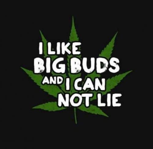 12:39:55 GMT-0600 (CST)