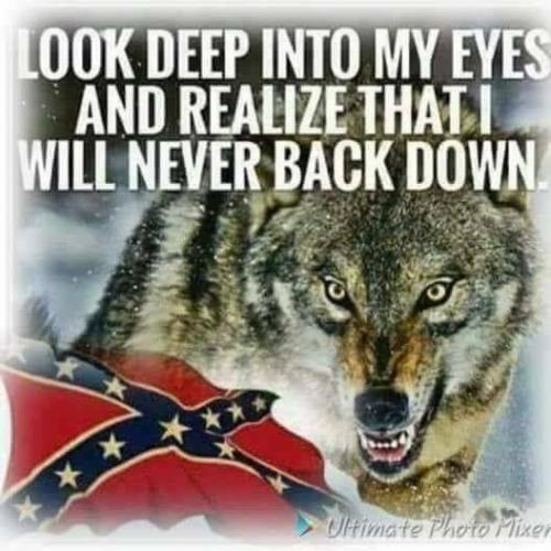 21:13:46 GMT-0600 (CST).image