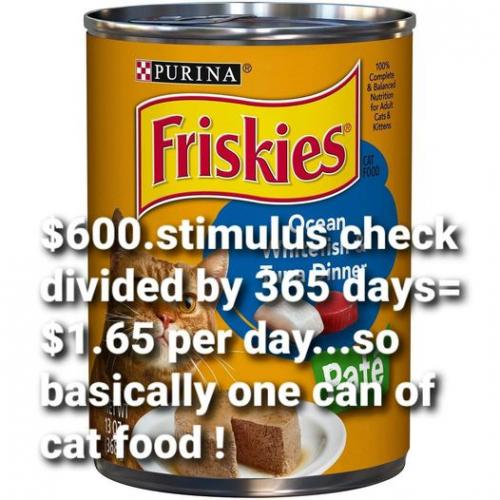 131479802_10221161543882564_4188048708678931610_o