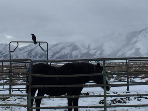 08:16:41 GMT-0800 (PST).image