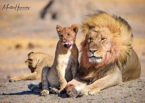 tumblr_97a8b929b6f476db5ed32b96494a2387_f23117de_540