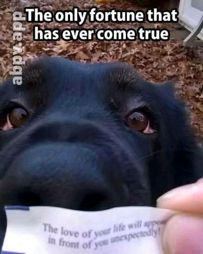 06:46:36 GMT-0600 (CST).image