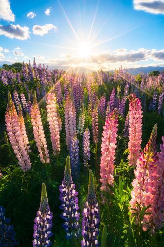 tumblr_prggxolBa01szm930o1_1280