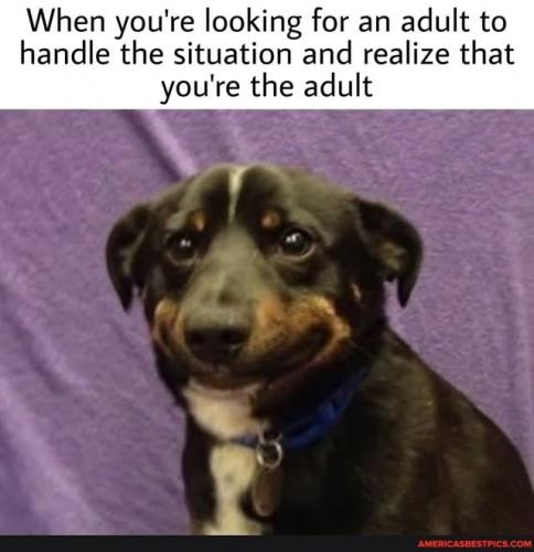 00:37:49 GMT-0600 (CST).image