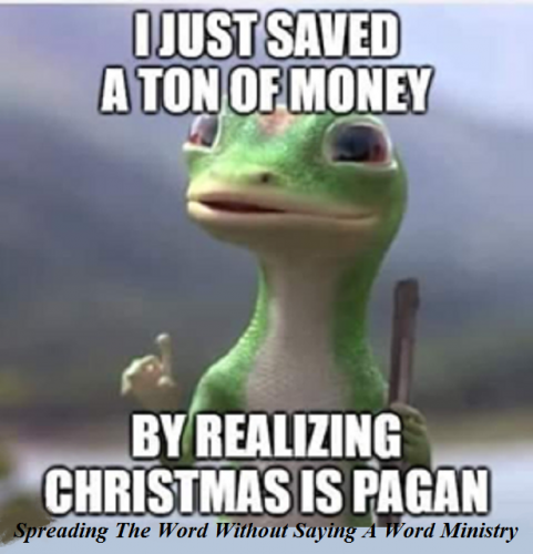 127769264_447131933329829_2306362079391194321_n