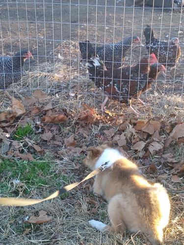 IMG_20201208_162410181