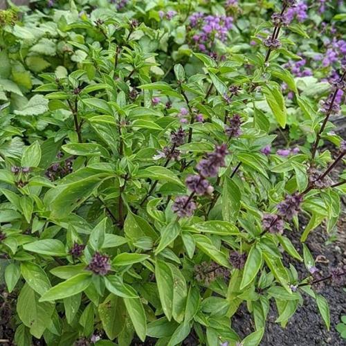 09:53:55 GMT+0100 (WAT)