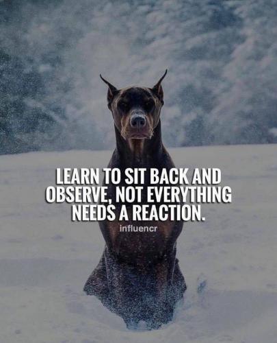 12:08:56 GMT-0600 (CST).image